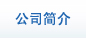 公司简介